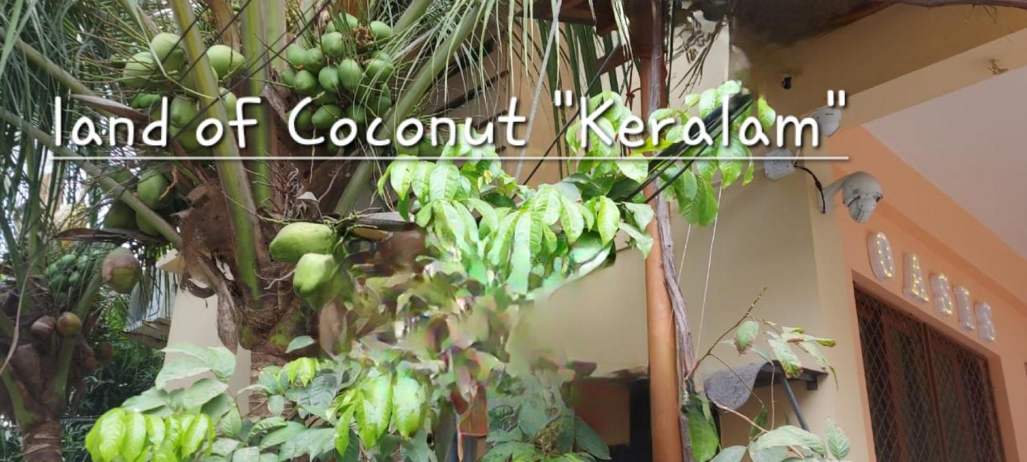Oasis Homestay Kochi 외부 사진